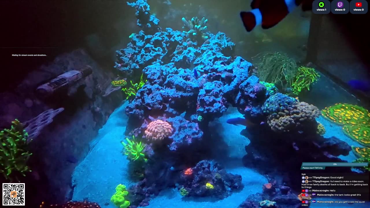 24/7 Real Live Reef Stream