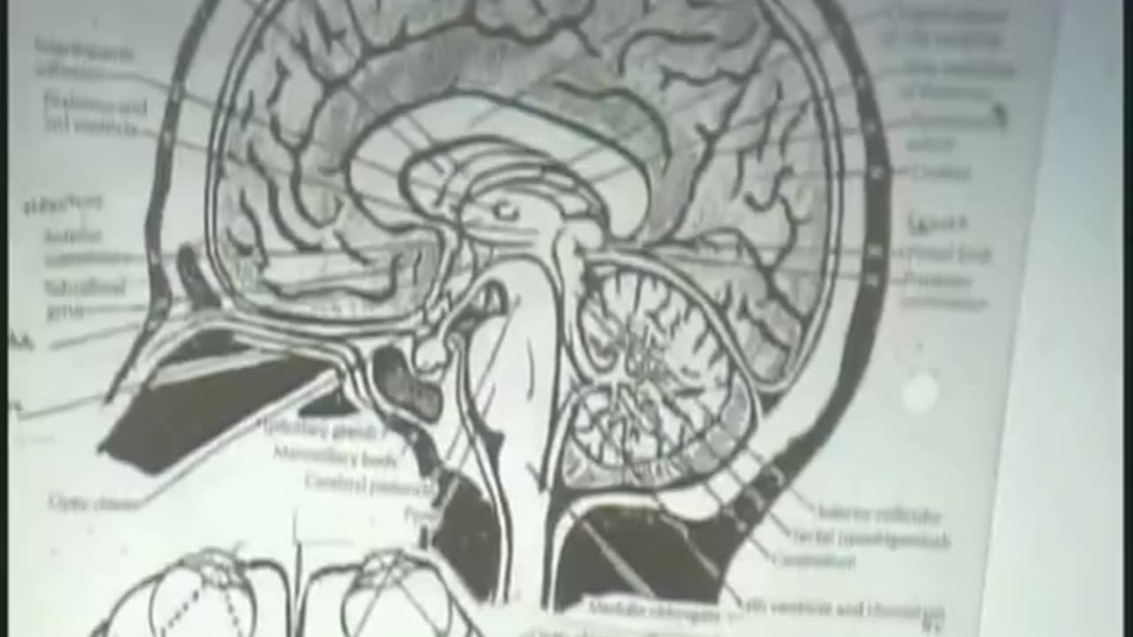 Secrets of the Yugas The Celestial Arcs and Angels (Archangels) Part 7 of 7 Ashayana Deane