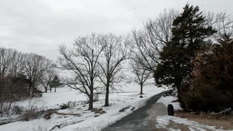 Alone Again (Naturally) Brandy (You're a fine girl) Baby Come Back