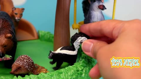 Squirrels Fly from Pine Trees to the Ground in Search of Nuts