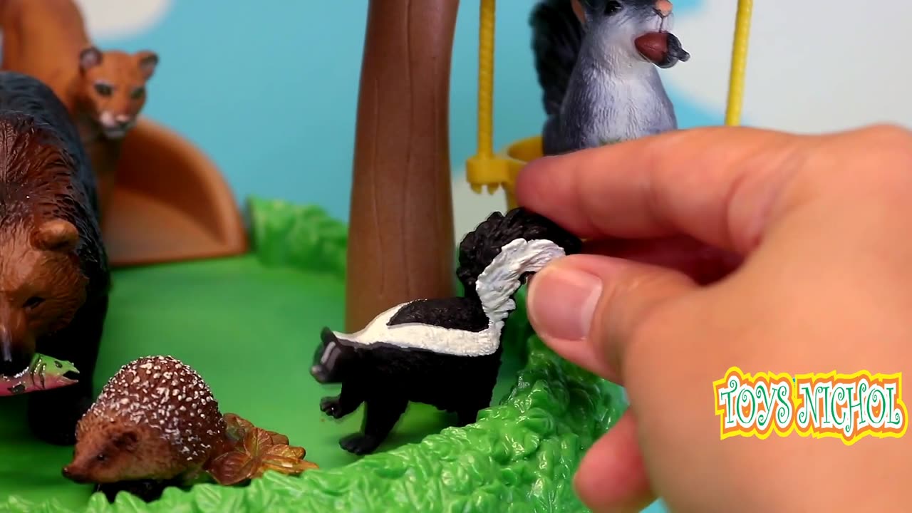 Squirrels Fly from Pine Trees to the Ground in Search of Nuts
