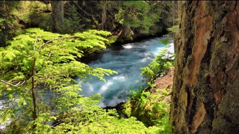River Flow Meditation Music | Relaxing Nature Sounds for Deep Calm