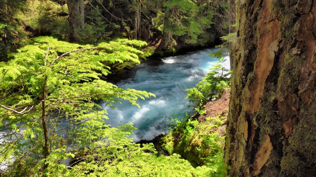River Flow Meditation Music | Relaxing Nature Sounds for Deep Calm