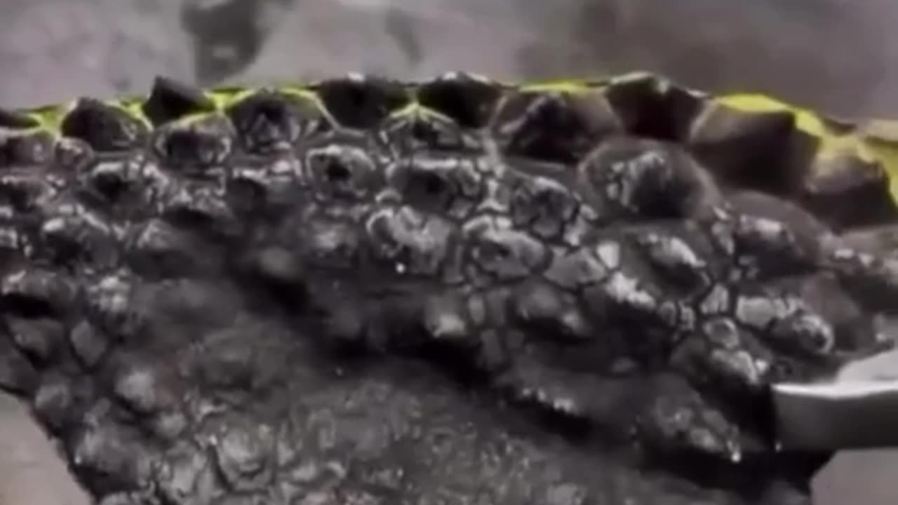 🤯🔥 Discover How Durian Skin Withstands 3300°C Flame! | FeedMyCuriosity