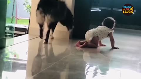 Ultimate Funny Animals Compilation 2025 🐶😹🤣 | You’ll Cry Laughing!