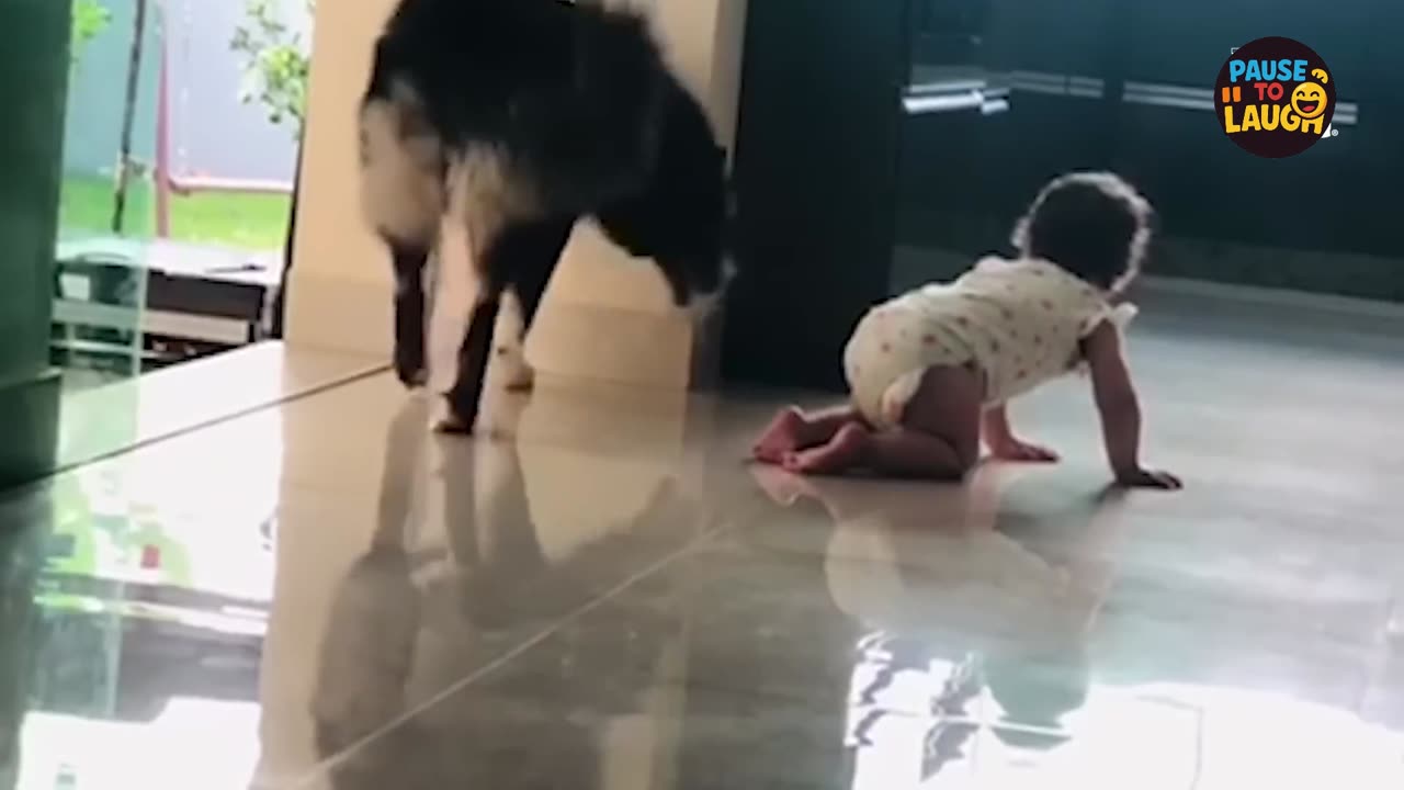 Ultimate Funny Animals Compilation 2025 🐶😹🤣 | You’ll Cry Laughing!
