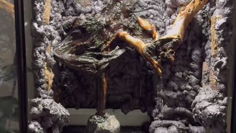 6 Months Ago I Started Building A Terrarium…