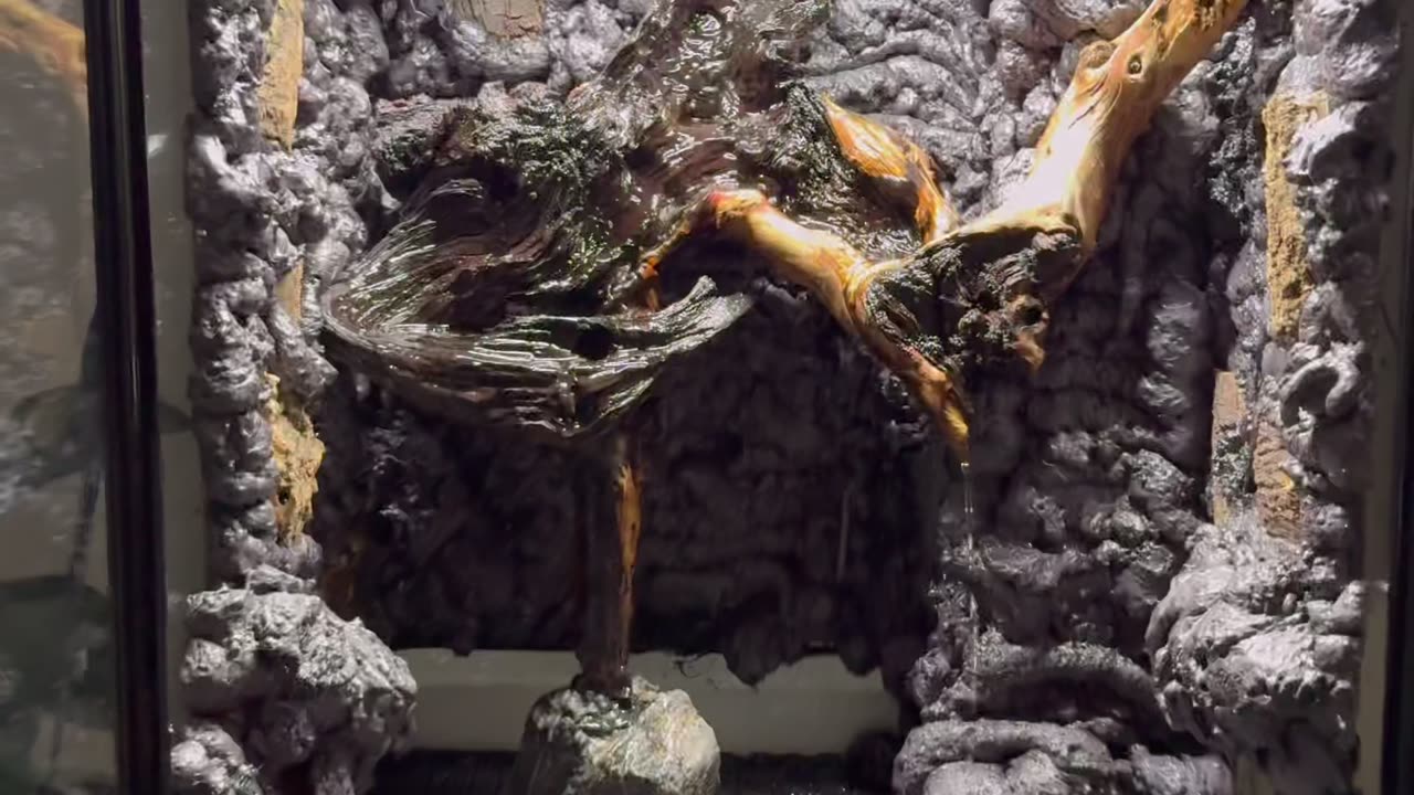 6 Months Ago I Started Building A Terrarium…