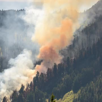 Trump Administration Orders 25% Logging Increase to Boost Lumber Supply, Prevent Wildfires