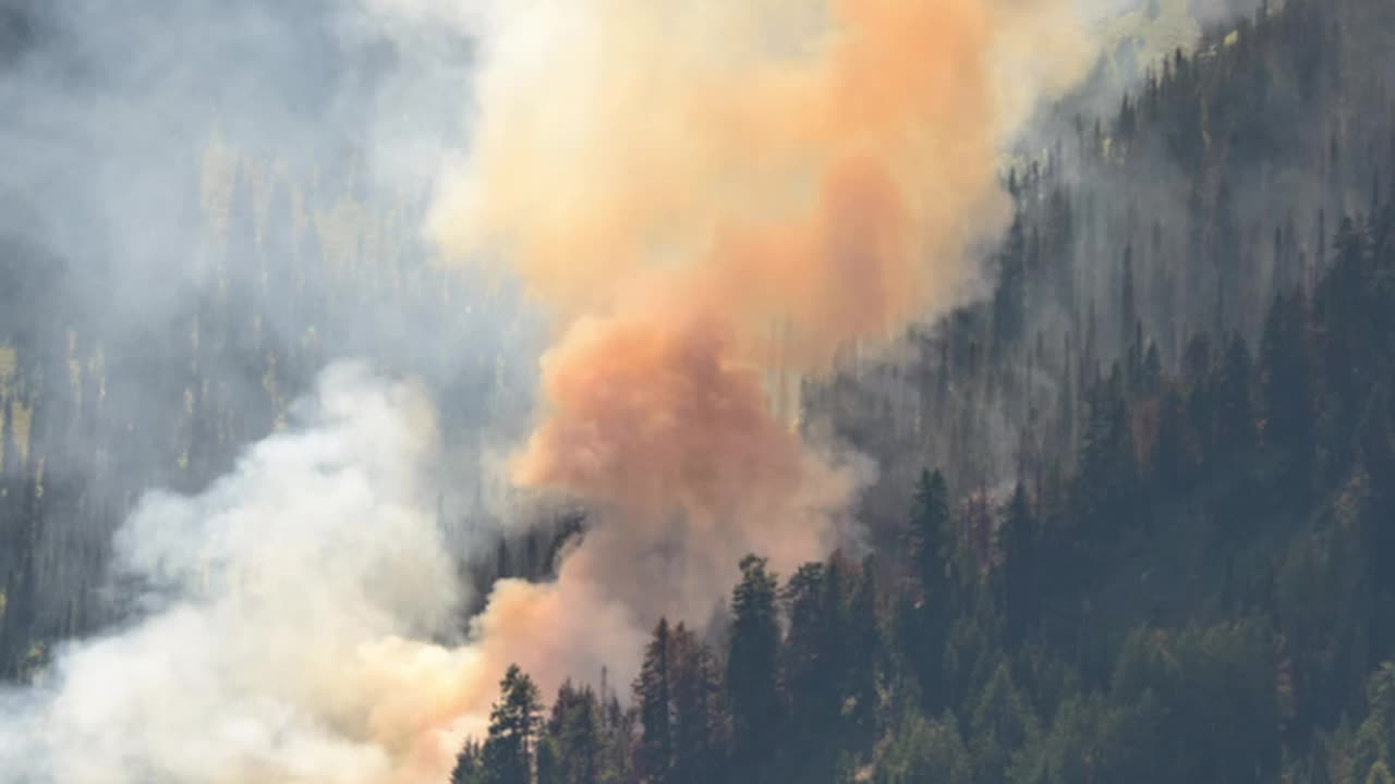 Trump Administration Orders 25% Logging Increase to Boost Lumber Supply, Prevent Wildfires