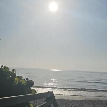 Americans are reporting their Summer no longer looks the same - describing it as a “White Out”.