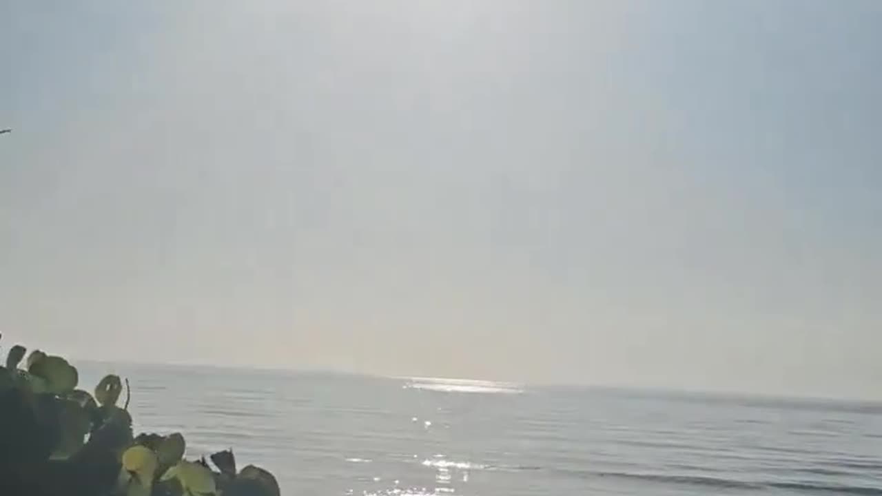 Americans are reporting their Summer no longer looks the same - describing it as a “White Out”.