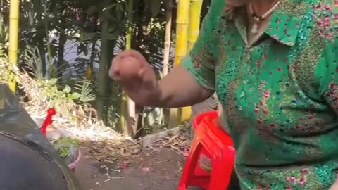 Funny Video 😂😂😂😂😂