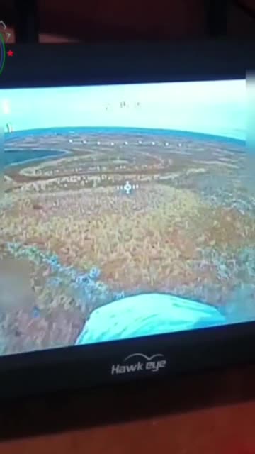 🇷🇺 ⚔️ #Summary for the morning of January 31, 2026