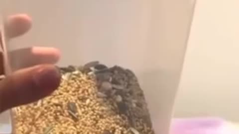 😂🤯 You Won't Believe This Hilarious Sploof! | FunFM