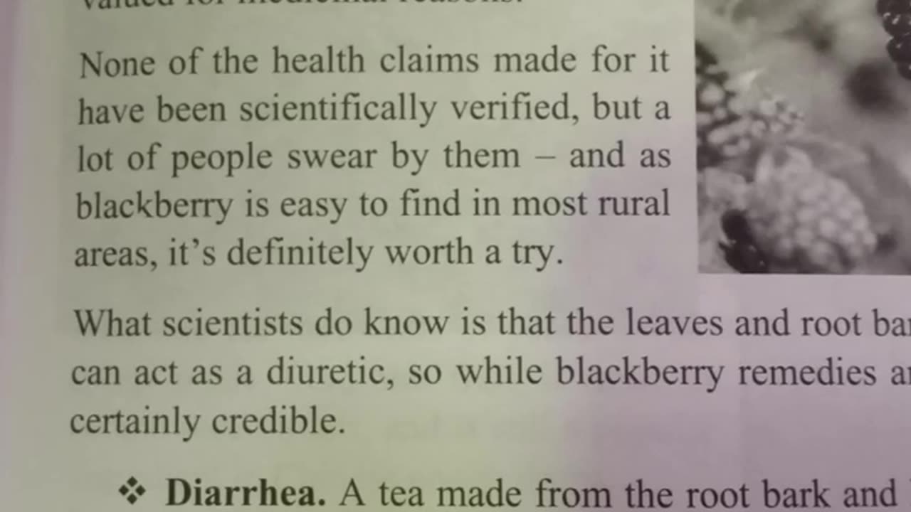 #Blackberry