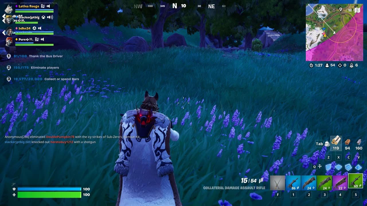 Fortnite 2025.03.13 - Sneaky wolf
