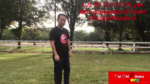 Aerobic Tai Chi Workout-029-Cover Fist and Punch IV