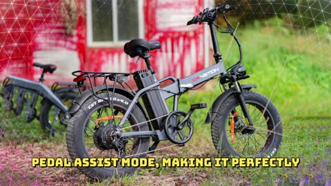 Fafrees F20 X-MAX Folding Electric Bike 750W Motor 48V 30Ah Battery 20" x 4.0 inch Electric Bike