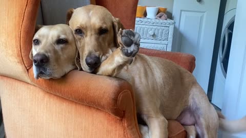 When There's 3 of Us but Only 2 Cozy Chairs