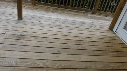 3203 Woodside Naples Fl