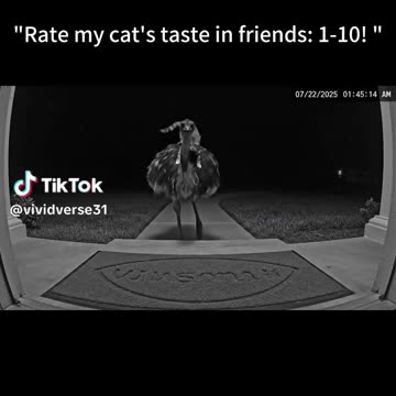 Rate my cat taste in friends