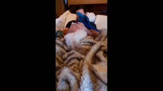 Daddy Goat 24/7 - Out Of Context Memes & Videos