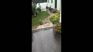 Daddy Goat 24/7 - Out Of Context Memes & Videos