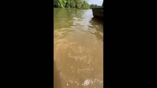 Daddy Goat 24/7 - Out Of Context Memes & Videos