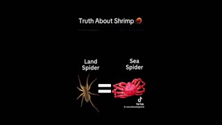 Daddy Goat 24/7 - Out Of Context Memes & Videos