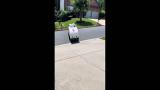 Daddy Goat 24/7 - Out Of Context Memes & Videos