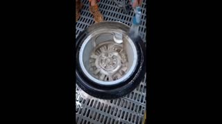 Daddy Goat 24/7 - Out Of Context Memes & Videos