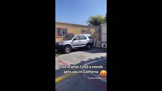 Daddy Goat 24/7 - Out Of Context Memes & Videos