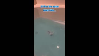 Daddy Goat 24/7 - Out Of Context Memes & Videos