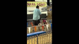 Daddy Goat 24/7 - Out Of Context Memes & Videos