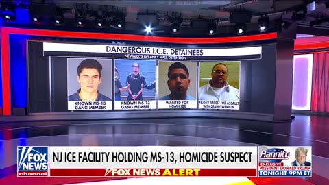 'Lawlessness is OVER': Republican demands consequences for Dems who 'assaulted' ICE agents