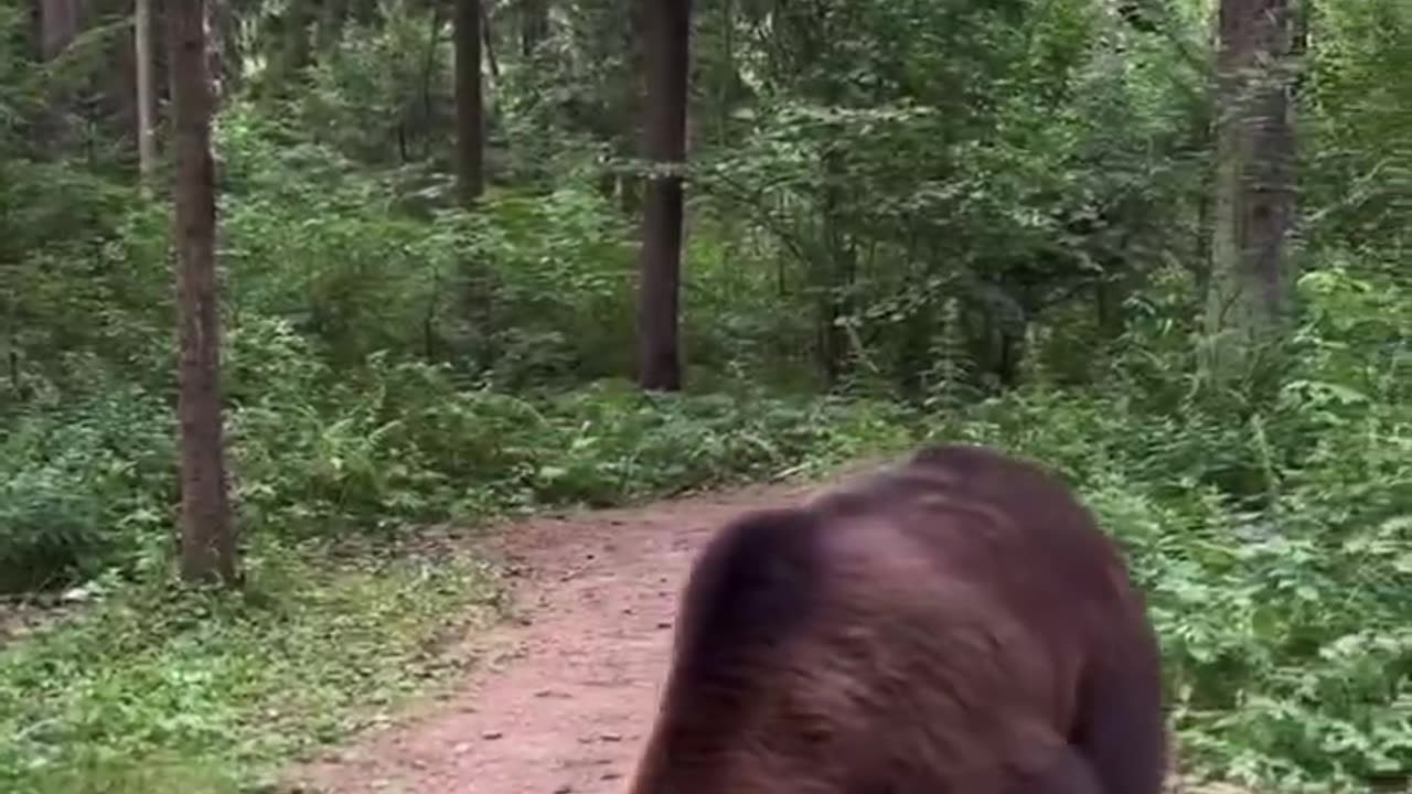What the hell am I watching