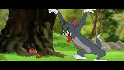 tom and jerry