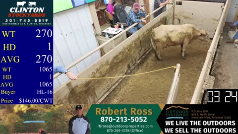 5/3/2025 - Cattle Auction - Clinton Stockyards