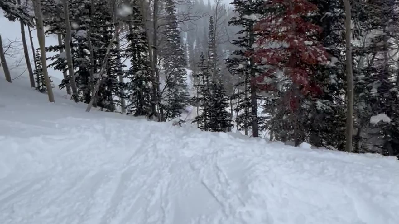 Dad Fails Ski Jump Backflip
