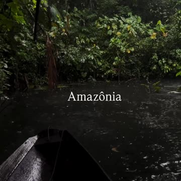 🇧🇷 Amazon forests. Brazil.
