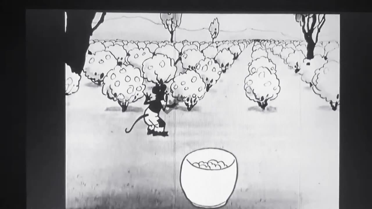Van Beuren Studios Cartoons - 1928x04 - Aesop's Fables Land o' Cotton