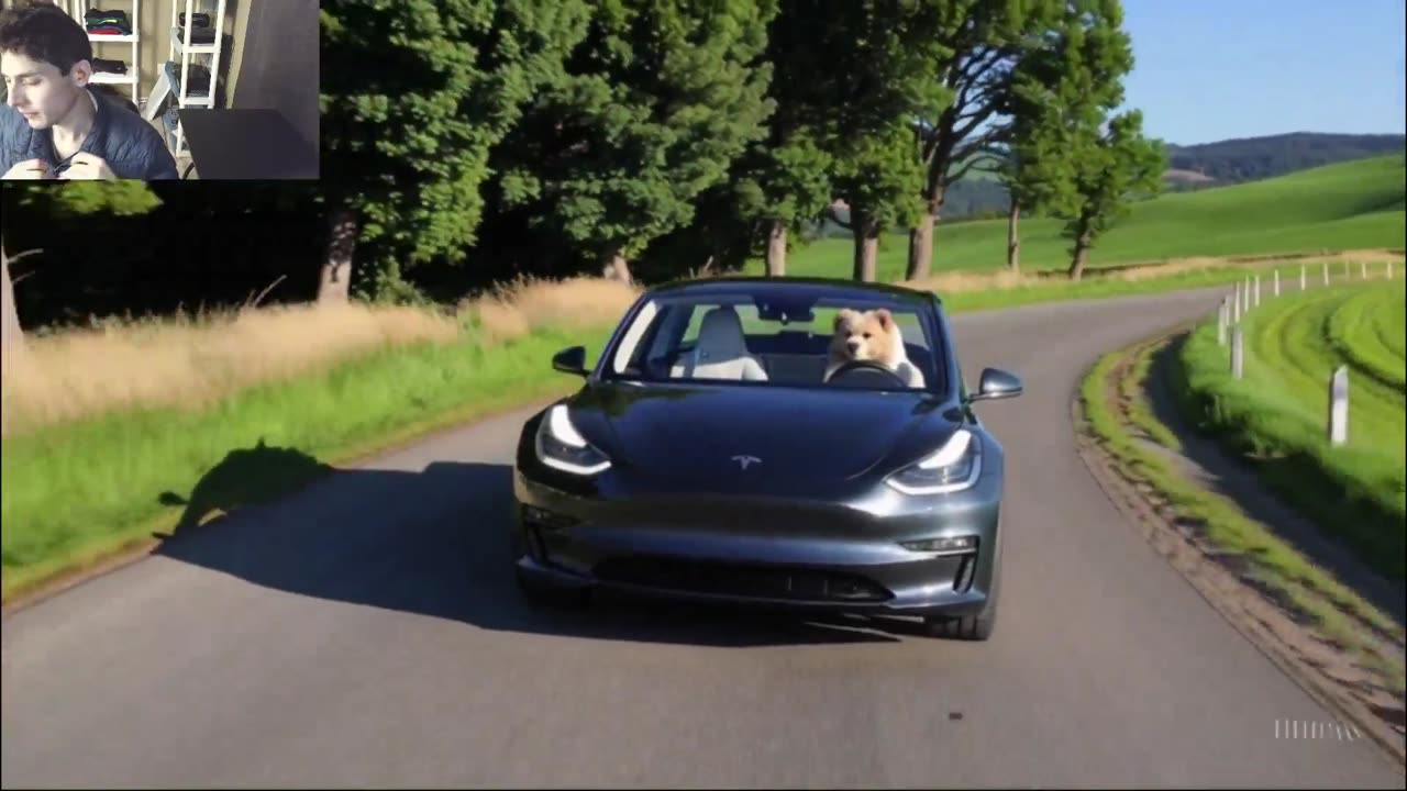 Outtake #1,195 Of The Dog Drives A Tesla Model 3 Car On The Roadway Fake Funny Parody Video