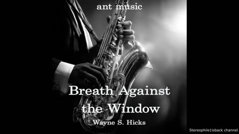 Wayne S. Hicks - An Echo Hiding in the Air