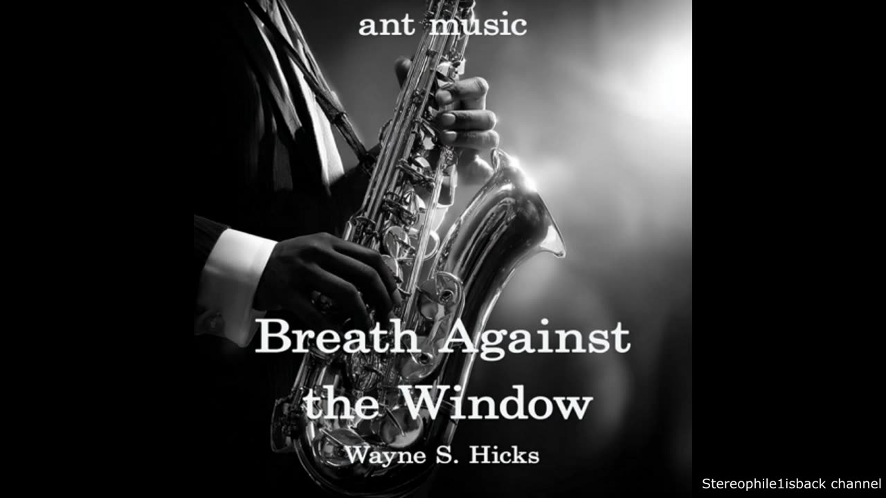 Wayne S. Hicks - An Echo Hiding in the Air