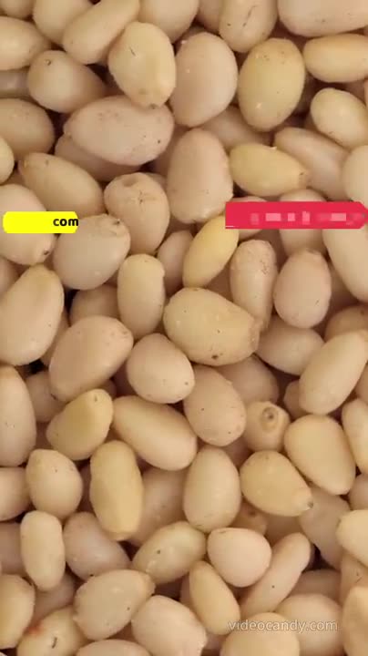 Chilgoza aur Doodh ke Health Benefits