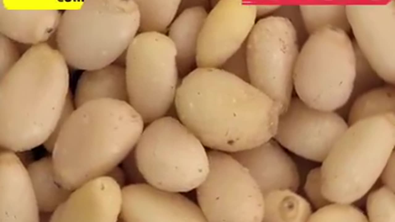 Chilgoza aur Doodh ke Health Benefits