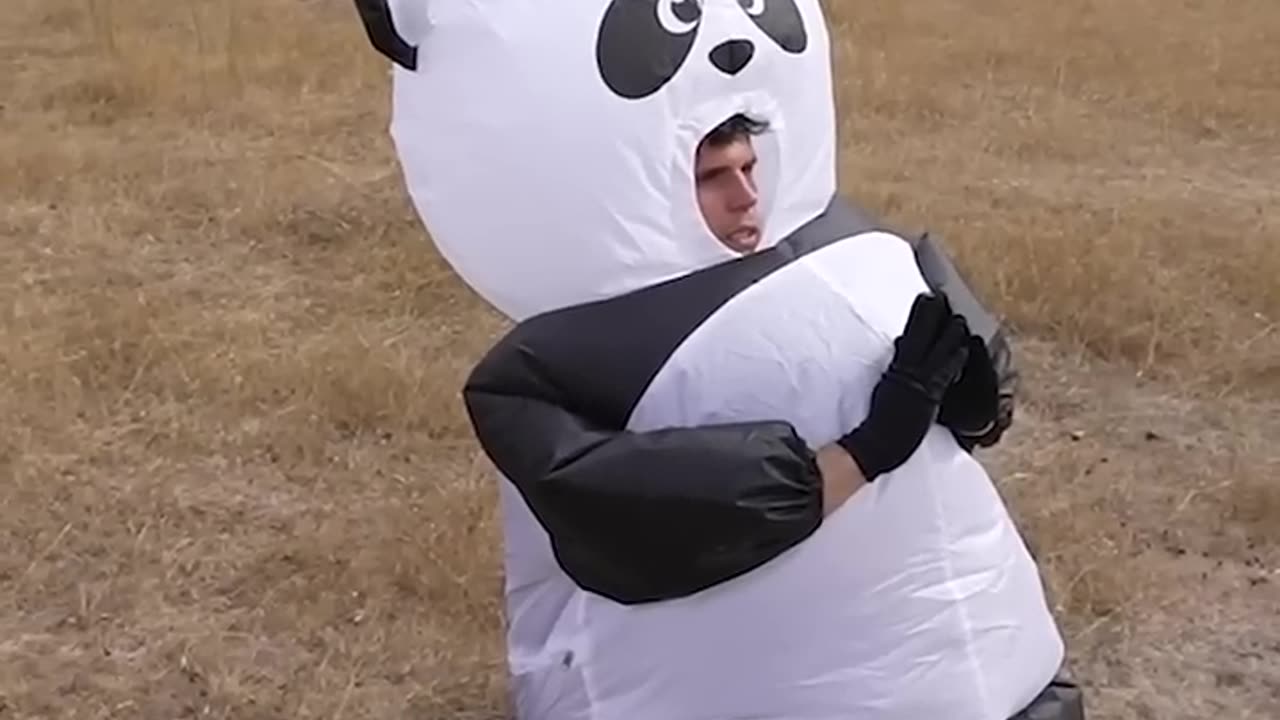 If animals were to do pakour