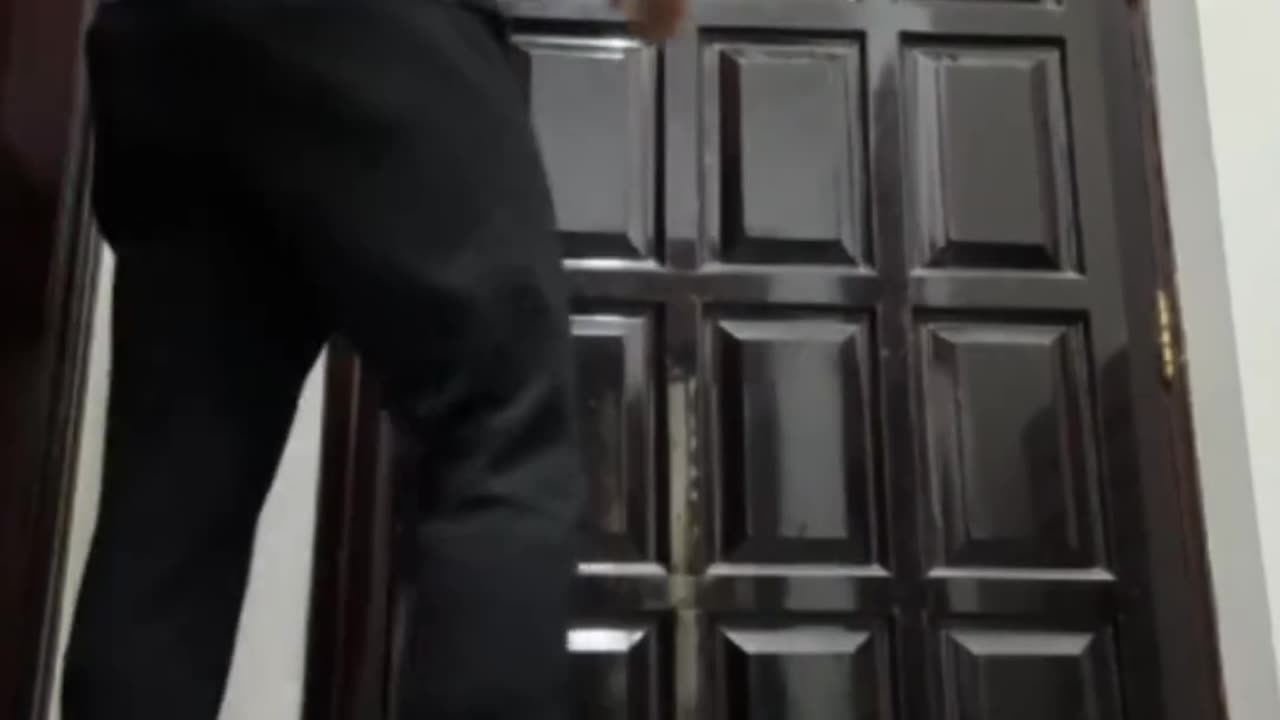 funnyvideosdaily