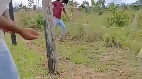 Electric Fence